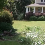 Lawn Care Service