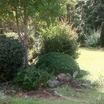 Lawn Care Service