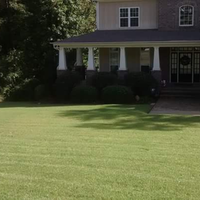 Lawn Care Service