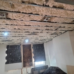 Ceiling insulation