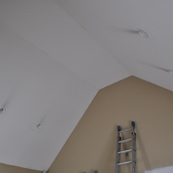 Berlin/ Family room ceiling