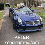 Tree Removed From Car