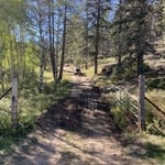 Driveways and Drainage