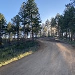 Roads and Driveway