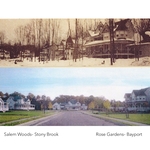 rose gardens"ChristmasCT"