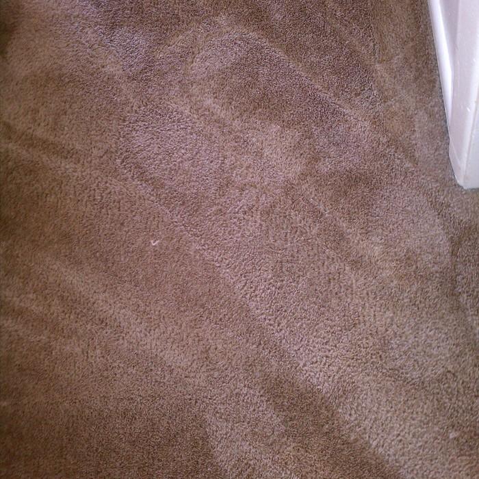 carpet cleaning