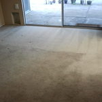 carpet cleaning san dieego