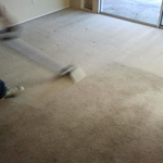 rug specialist