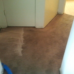 hallway carpet cleaning