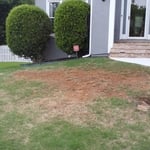 Complete Septic pumping and repair