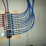 manifold