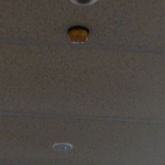 Ceiling Mounted 360 degree Motion Detector