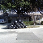 20 Bag Job
