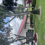 Ekelman Residence