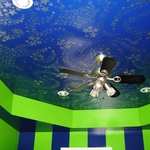 Celing and Walls Designer's Paint