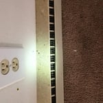Bed Bugs, Infestation, Bedroom, Living Room