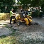 Stump grinding