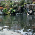 Bubbling Boulder