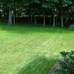 New lawn Insallation About 4 Weeks Old