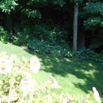 Shade lawn and Plant Installations
