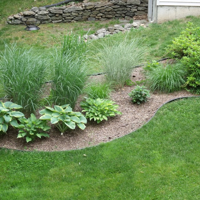 Shade Bed Installation
