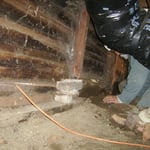 Crawl Space Exclusion Work Before
