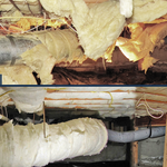 Nasty Crawl Space Clean-up Before and After