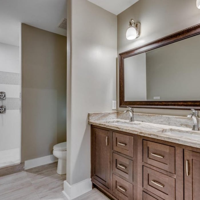 Back Bathroom with 2 Single Hole Faucets