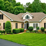 Zoysia