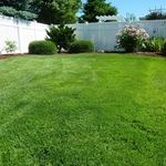 Healthy Bermuda Lawn