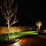 Nite FX Lighting