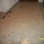 before of the floor