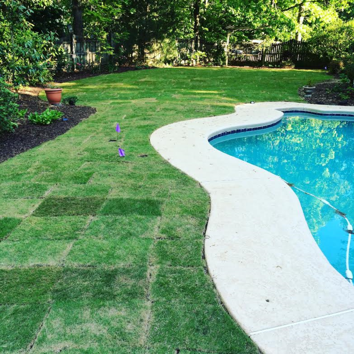 Zeon Zoysia Sod