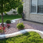 New Landscape
