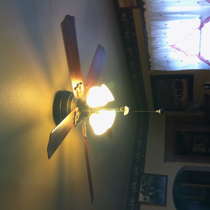 Ceiling fan