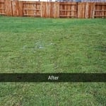 New installation and lay out sod