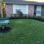 New Installation and landscape design
