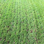 Aeration