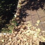 Front Gutter Run