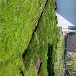 Sod laid from pallet
