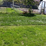 Finished product