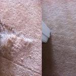 Carpet Installation
