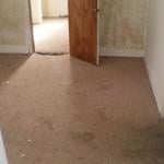 Carpet Installation