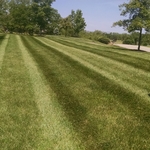 Fertilizer