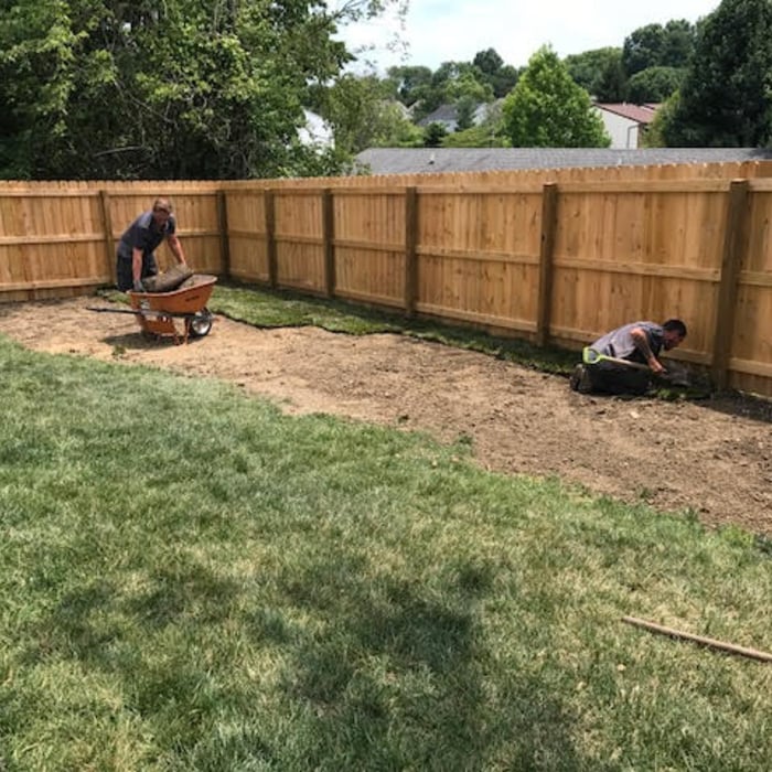 yard repair and sod