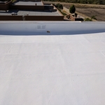 Elastomeric and Silicone