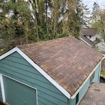 Asphalt Roof Cleaning