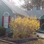 Exterior repaint