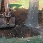 Stump Removal