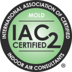 mold